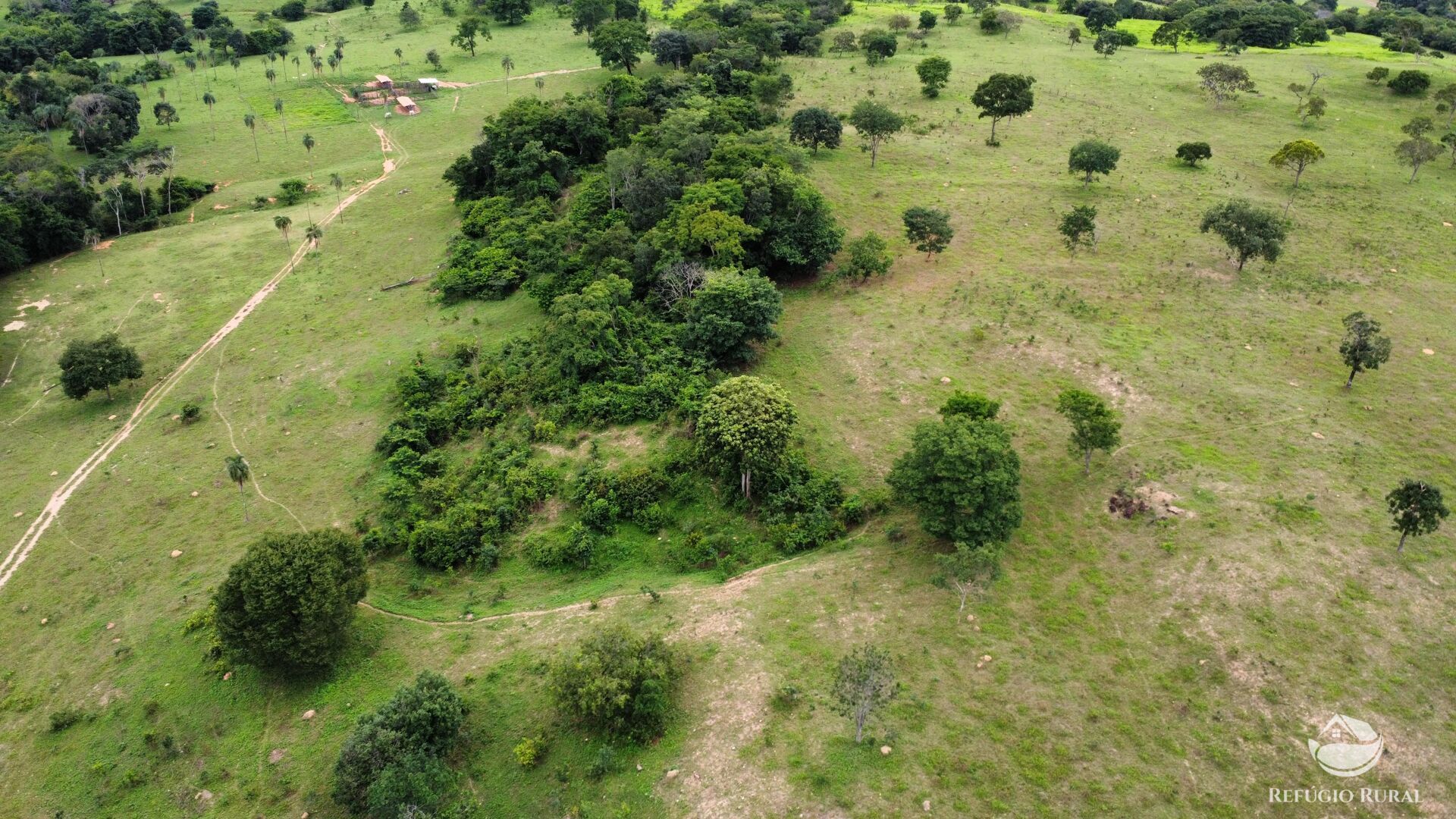 Fazenda, 261 hectares - Foto 21
