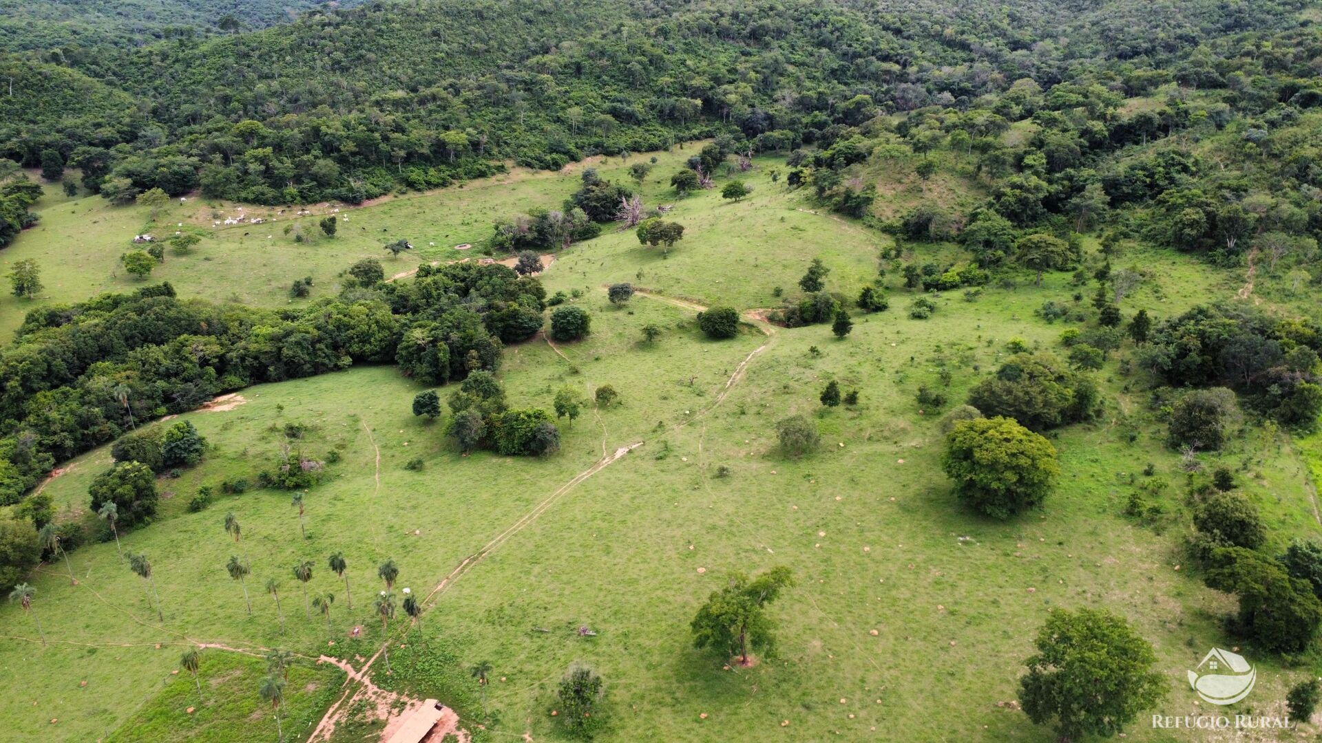 Fazenda, 261 hectares - Foto 16