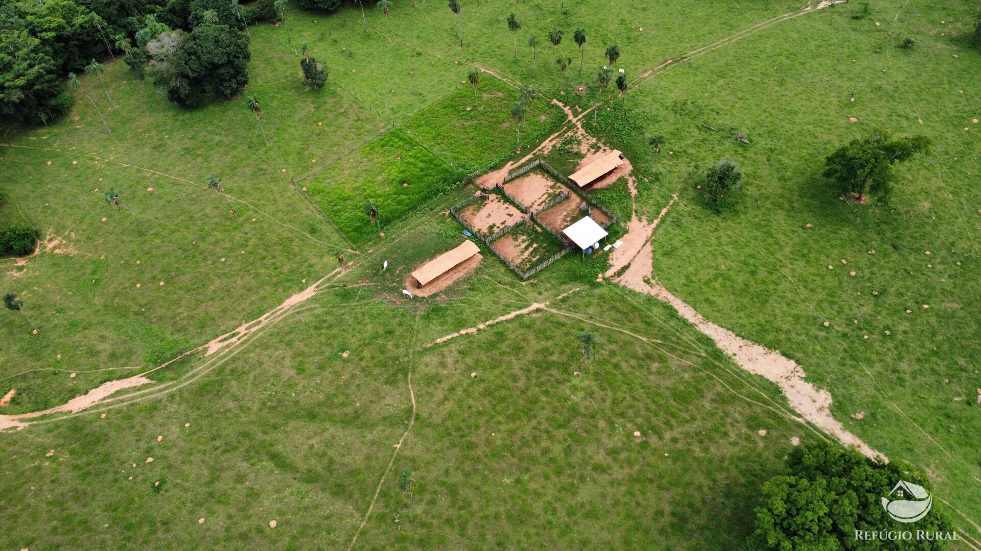 Fazenda, 261 hectares - Foto 13