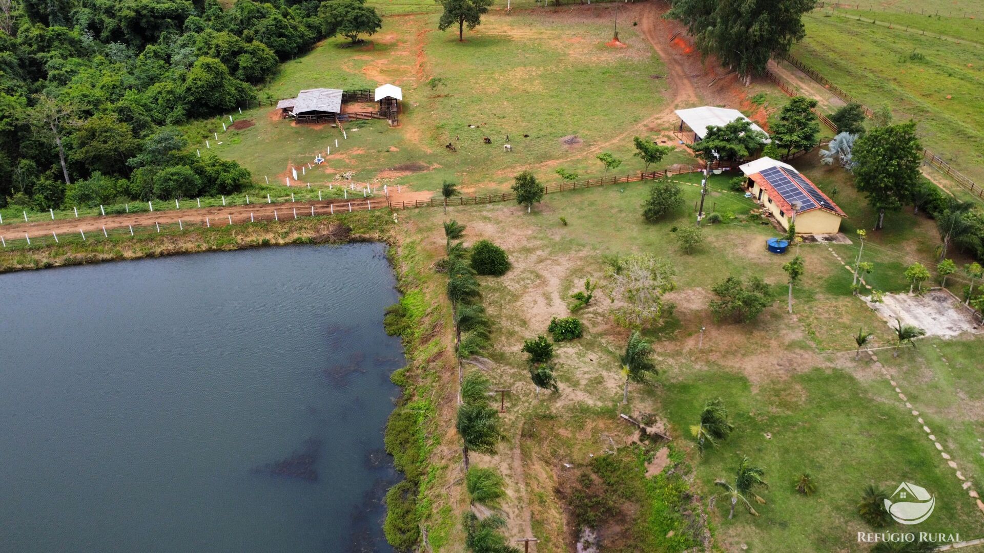 Fazenda, 261 hectares - Foto 3