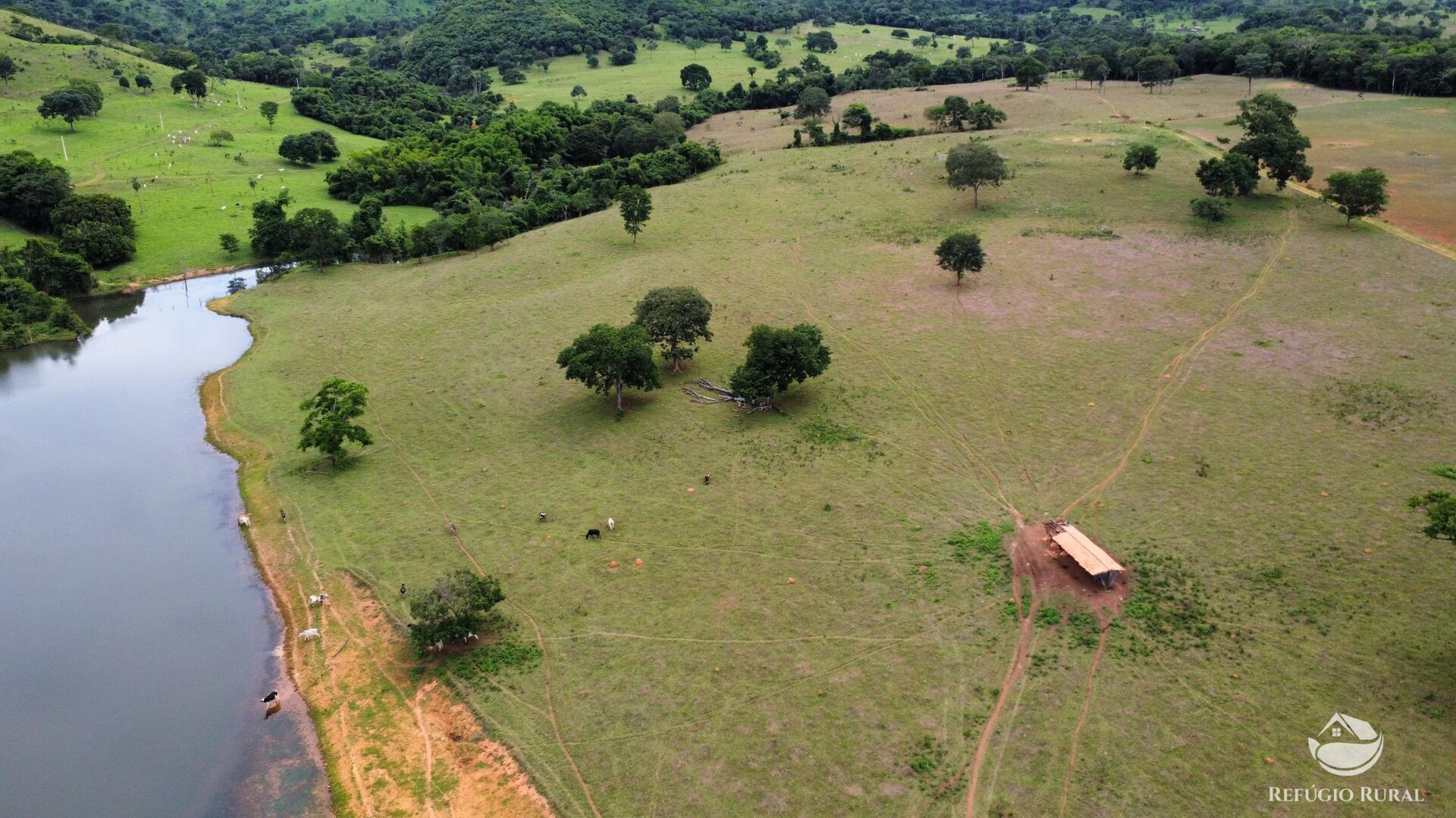 Fazenda, 261 hectares - Foto 24
