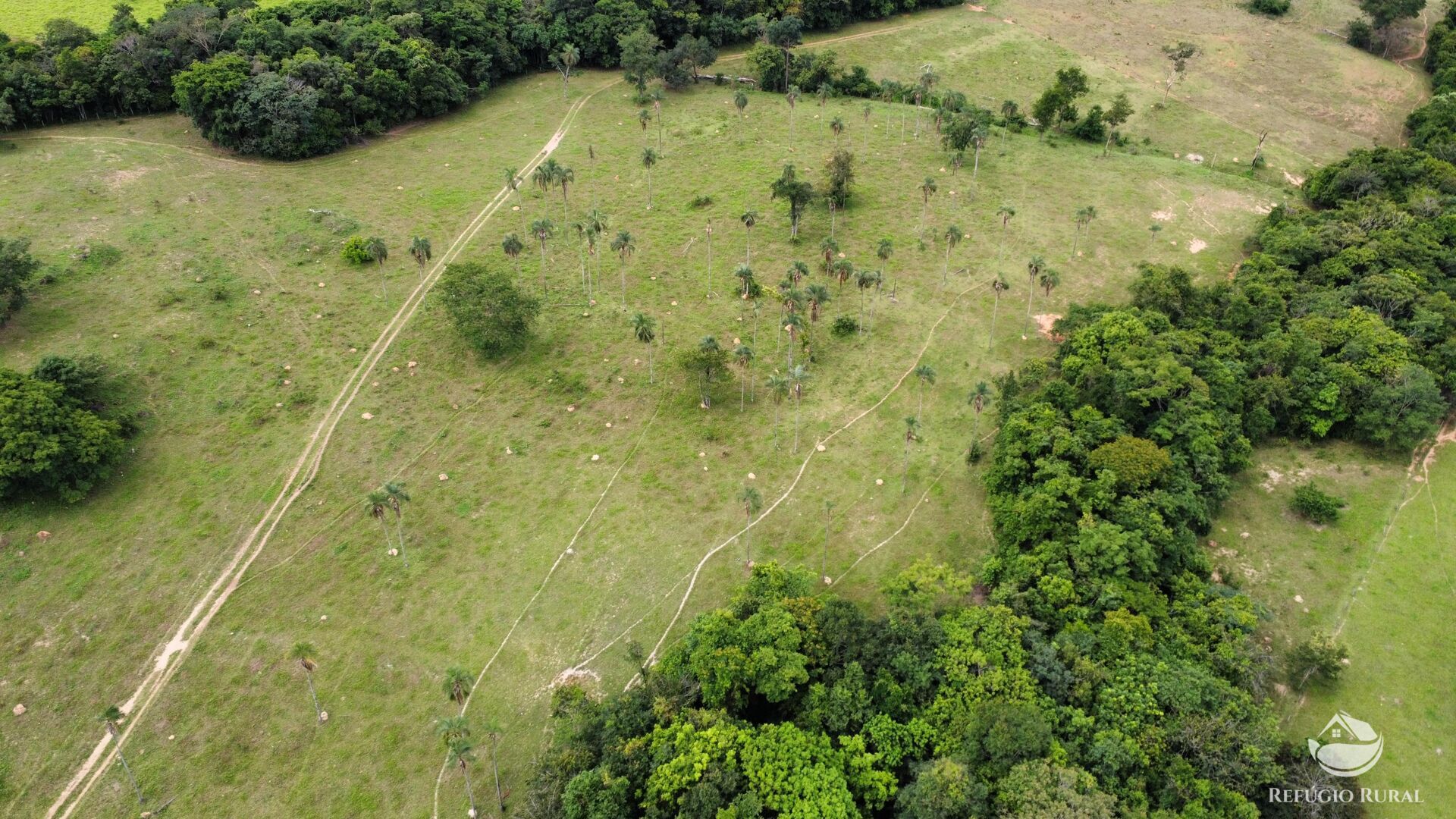 Fazenda, 261 hectares - Foto 9