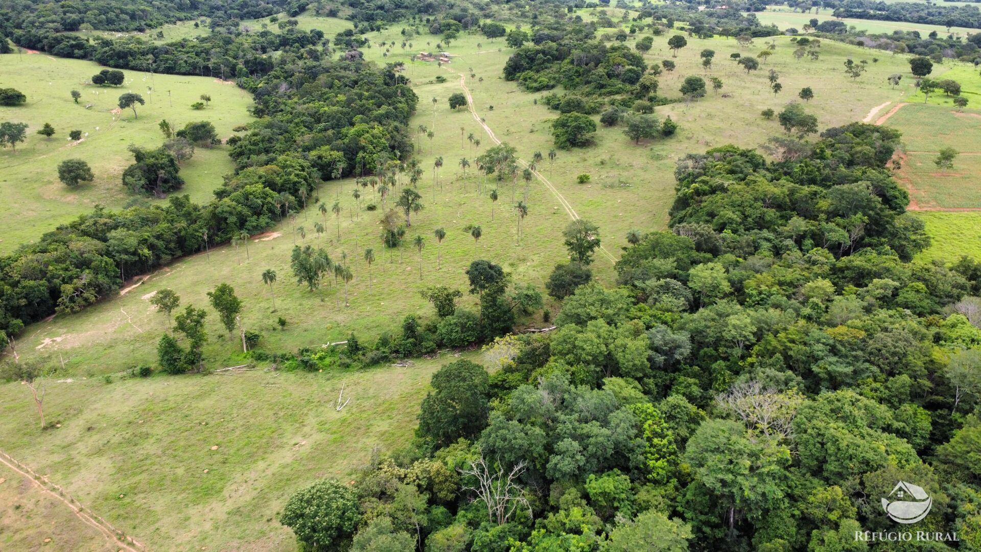 Fazenda, 261 hectares - Foto 18