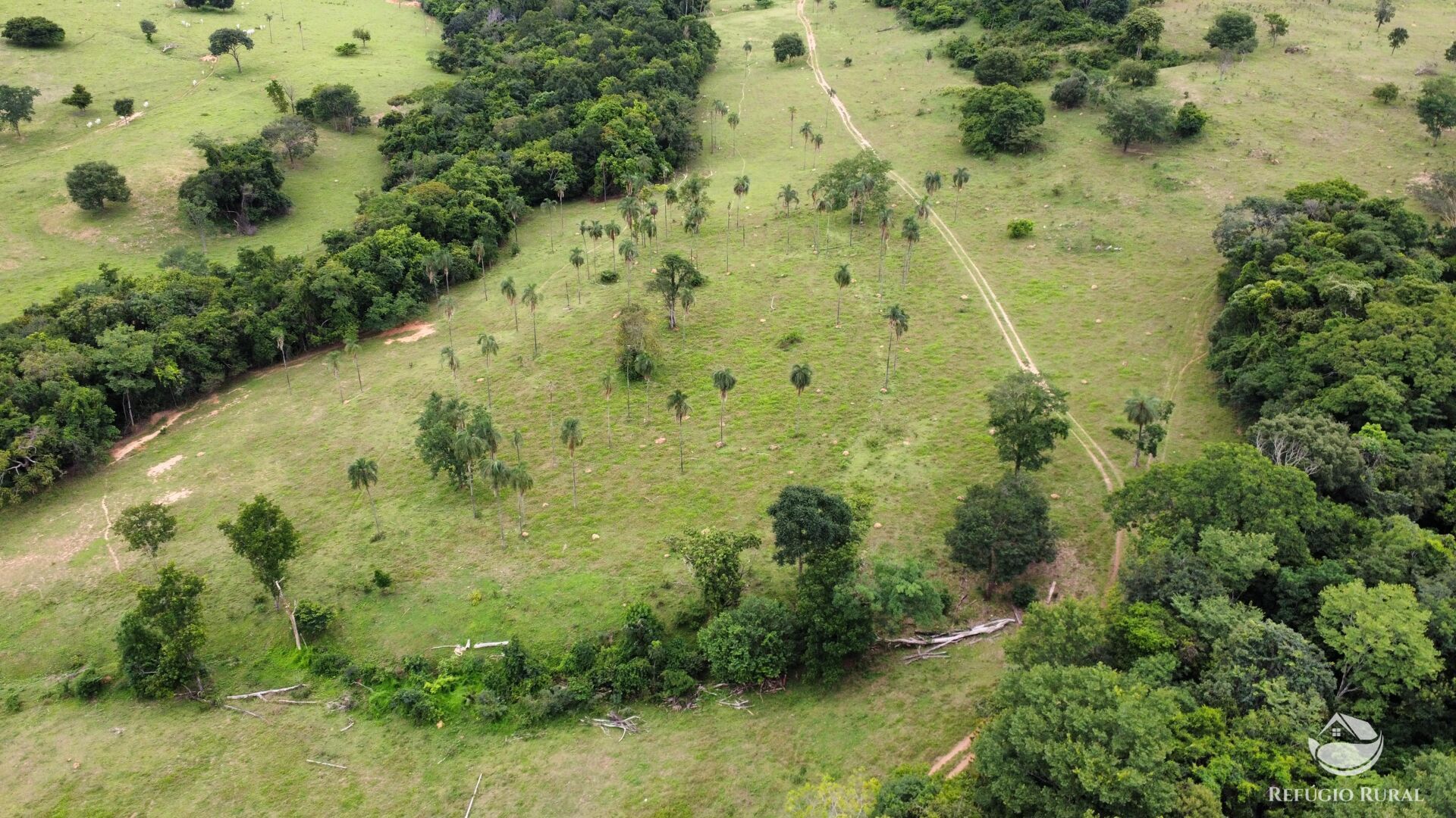 Fazenda, 261 hectares - Foto 17