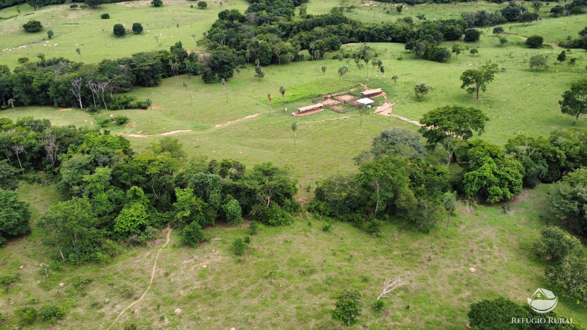 Fazenda, 261 hectares - Foto 14