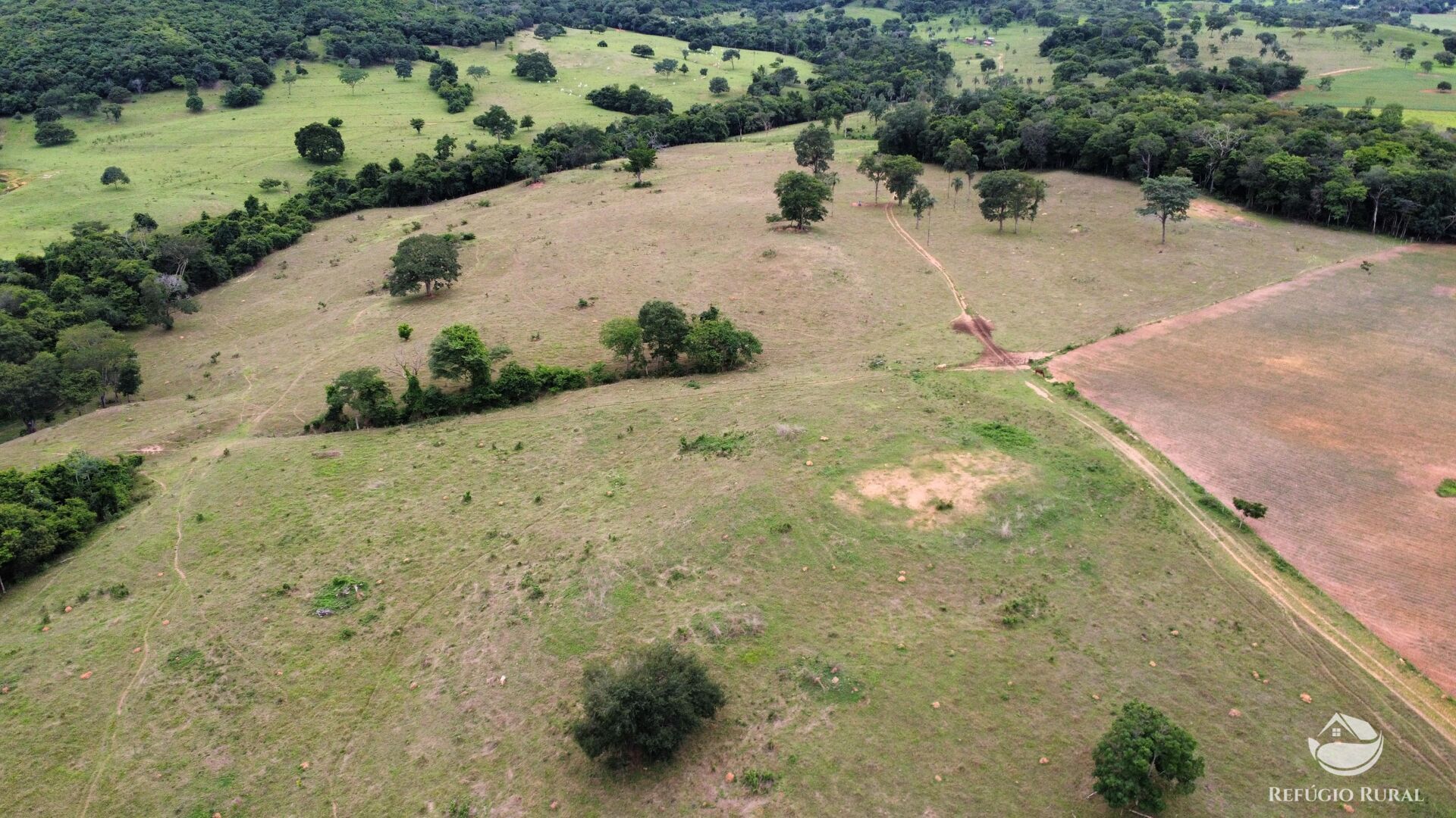 Fazenda, 261 hectares - Foto 20