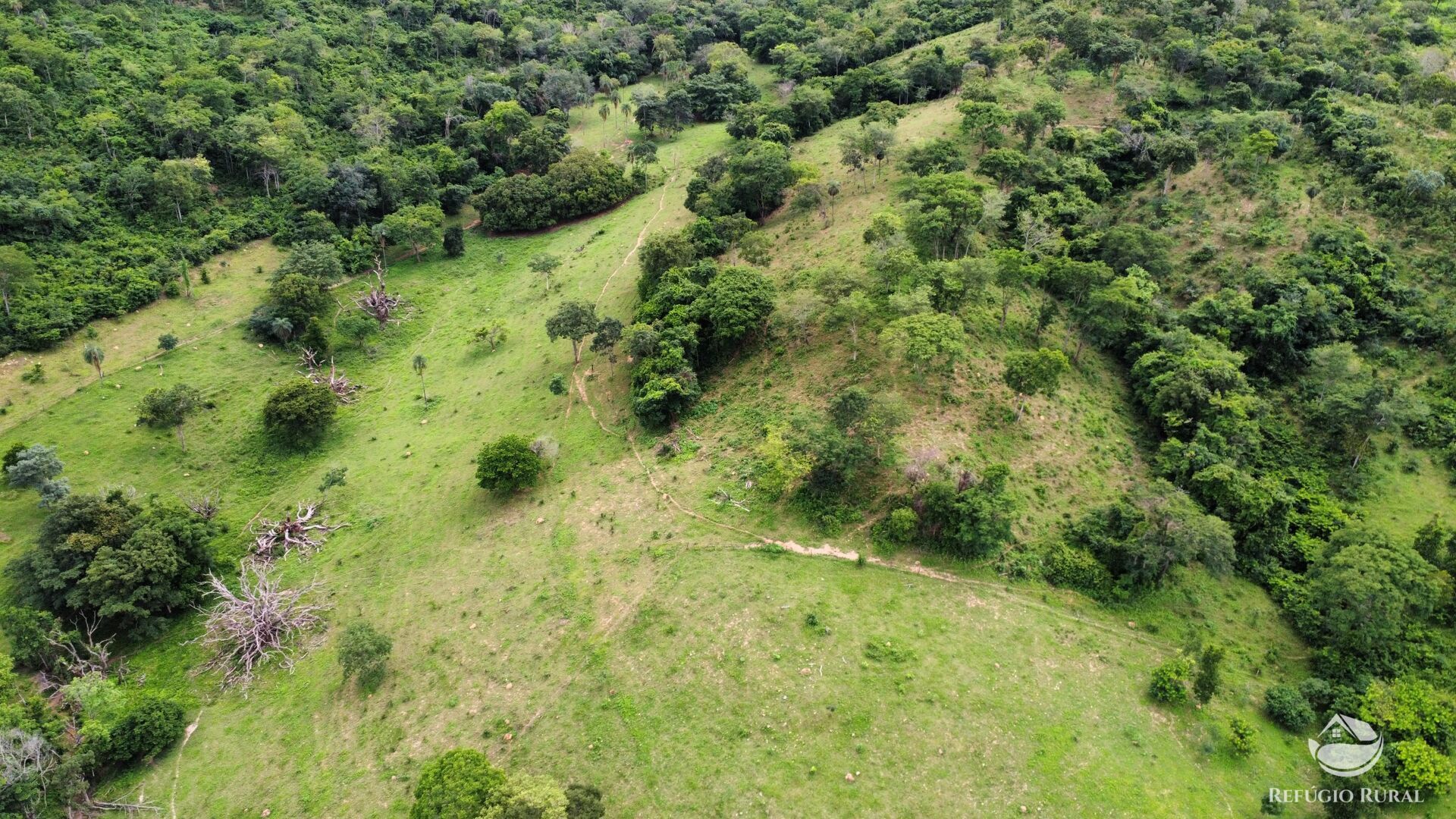 Fazenda, 261 hectares - Foto 10