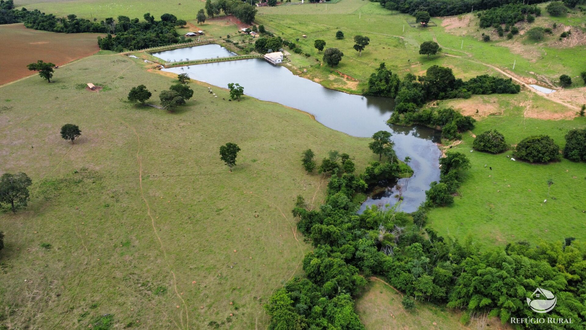 Fazenda, 261 hectares - Foto 6