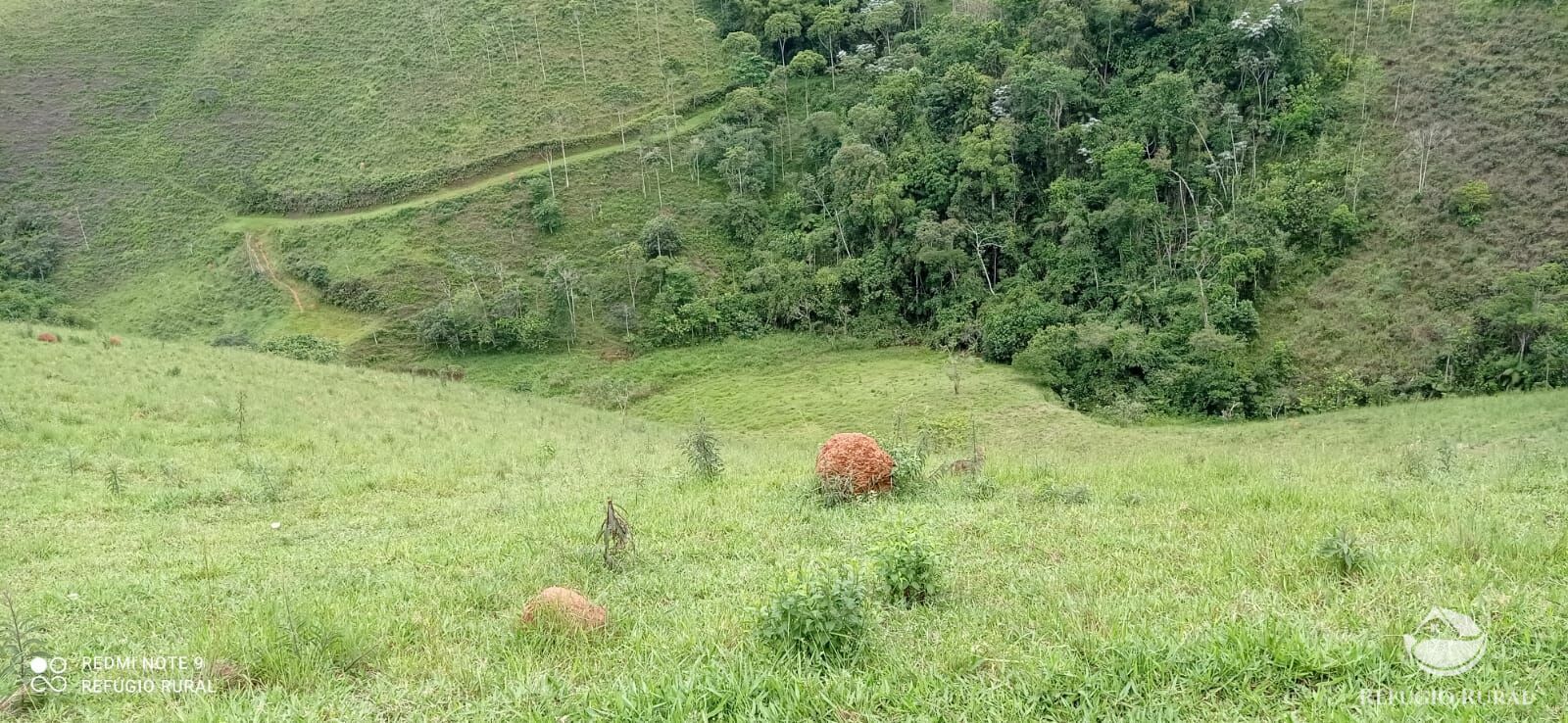 Terreno à venda, 48400m² - Foto 4