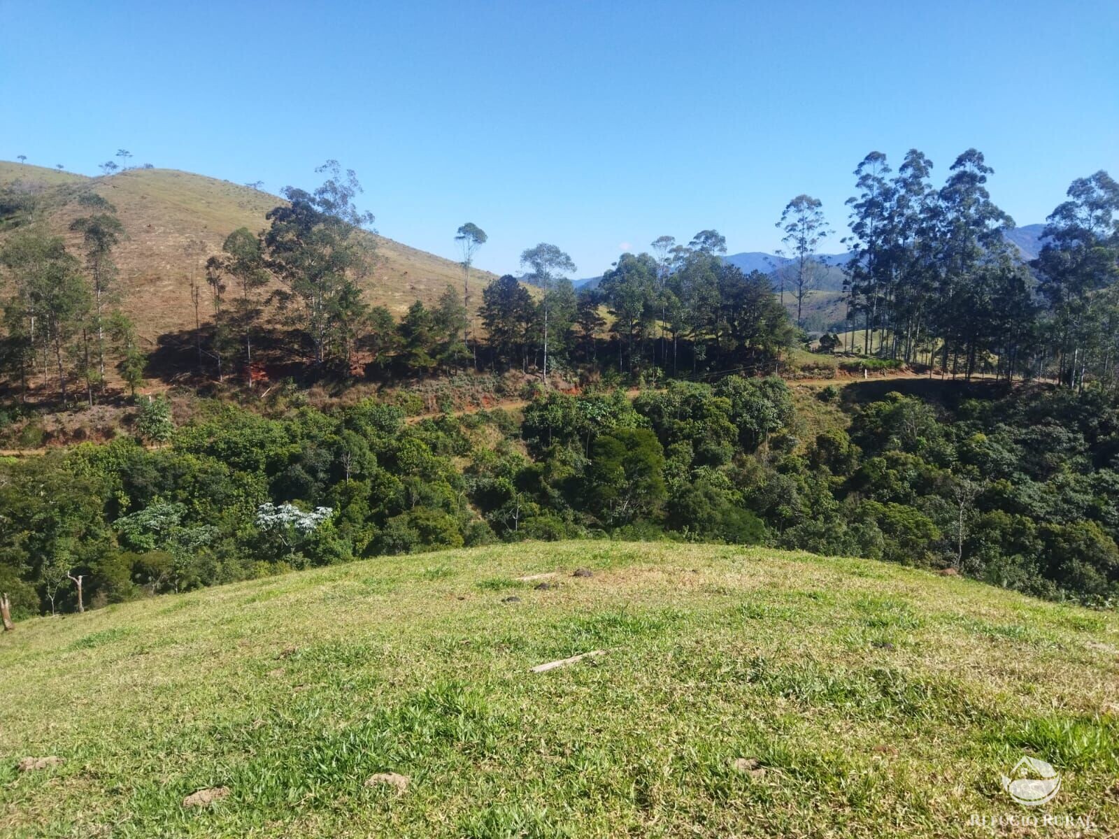 Terreno à venda, 48400m² - Foto 7