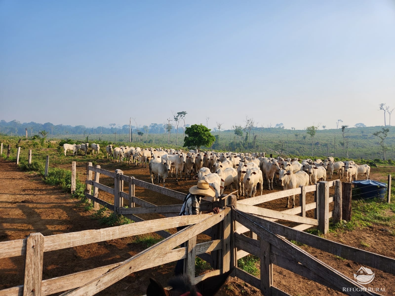 Fazenda à venda com 1 quarto, 11320000m² - Foto 7