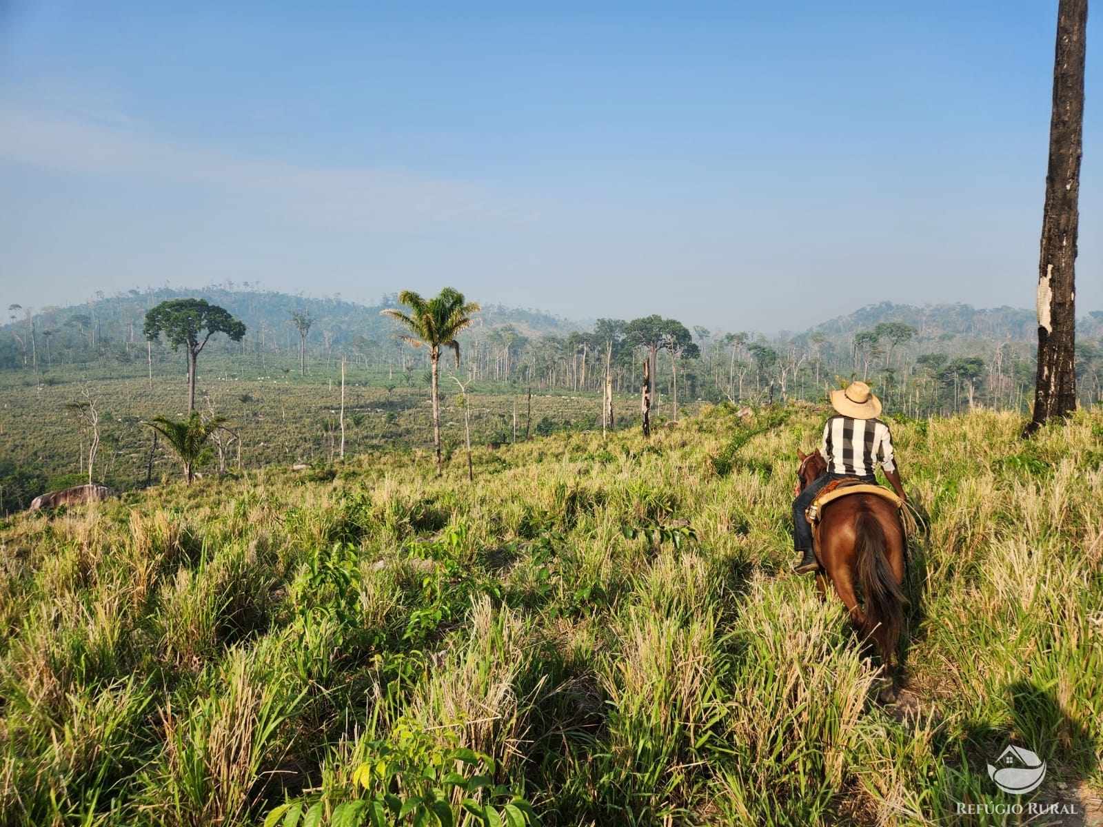 Fazenda à venda com 1 quarto, 11320000m² - Foto 5