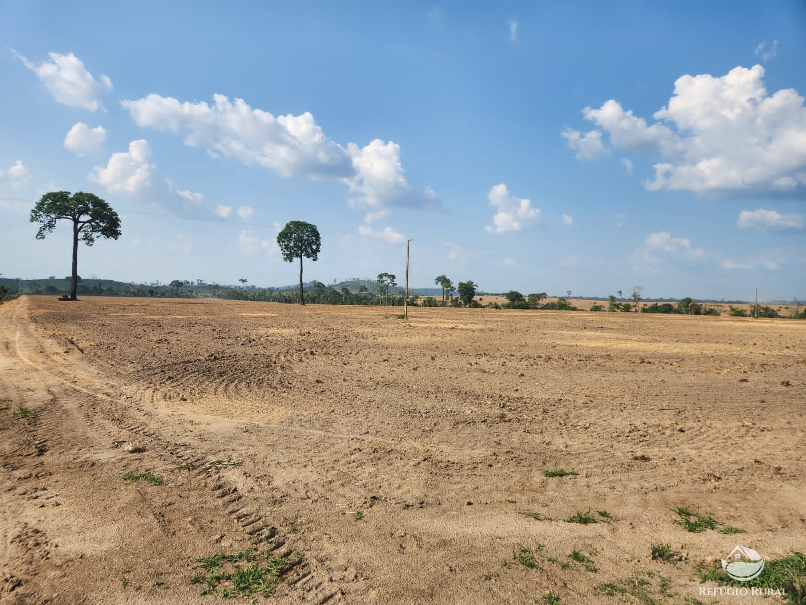 Fazenda à venda com 1 quarto, 11320000m² - Foto 14