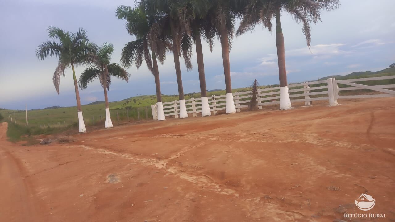 Fazenda à venda com 1 quarto, 11320000m² - Foto 16