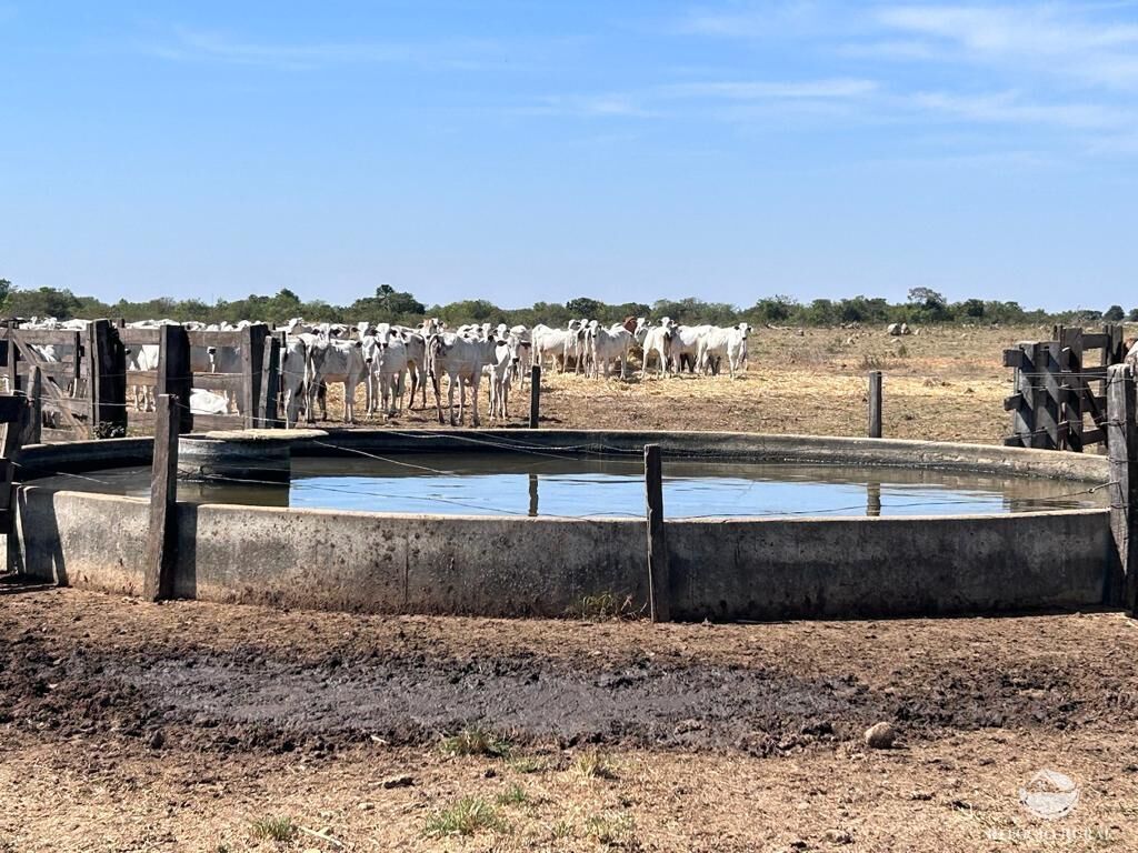 Fazenda à venda com 2 quartos, 37284200m² - Foto 3