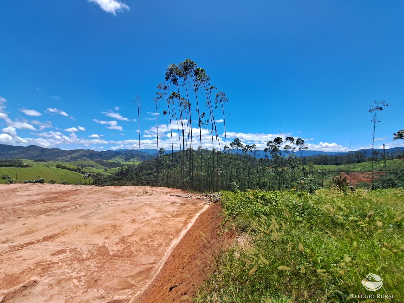 Terreno à venda, 31000m² - Foto 12