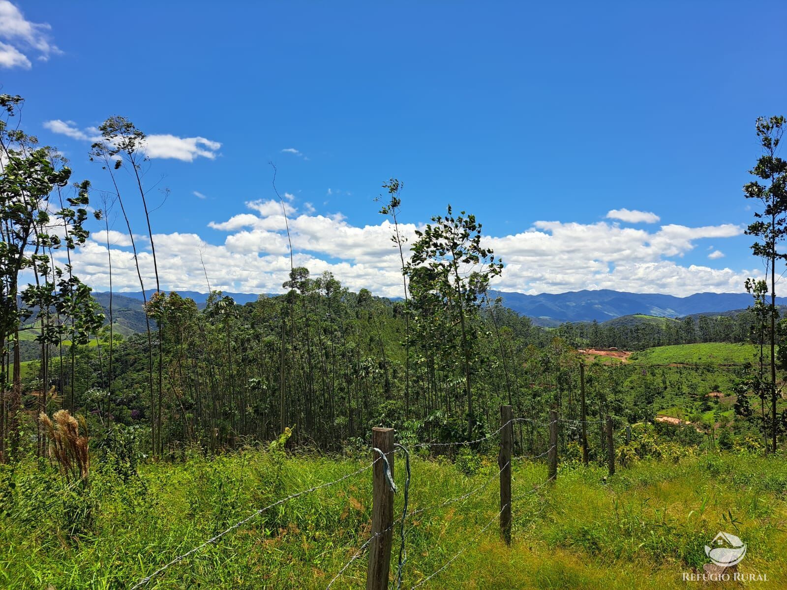 Terreno à venda, 31000m² - Foto 16