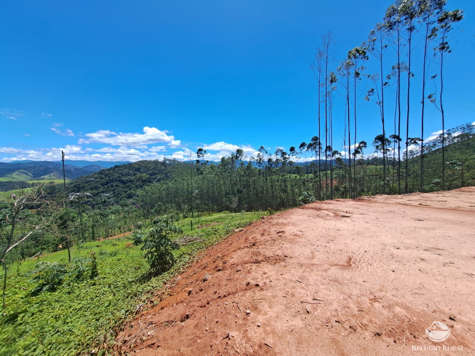 Terreno à venda, 31000m² - Foto 5