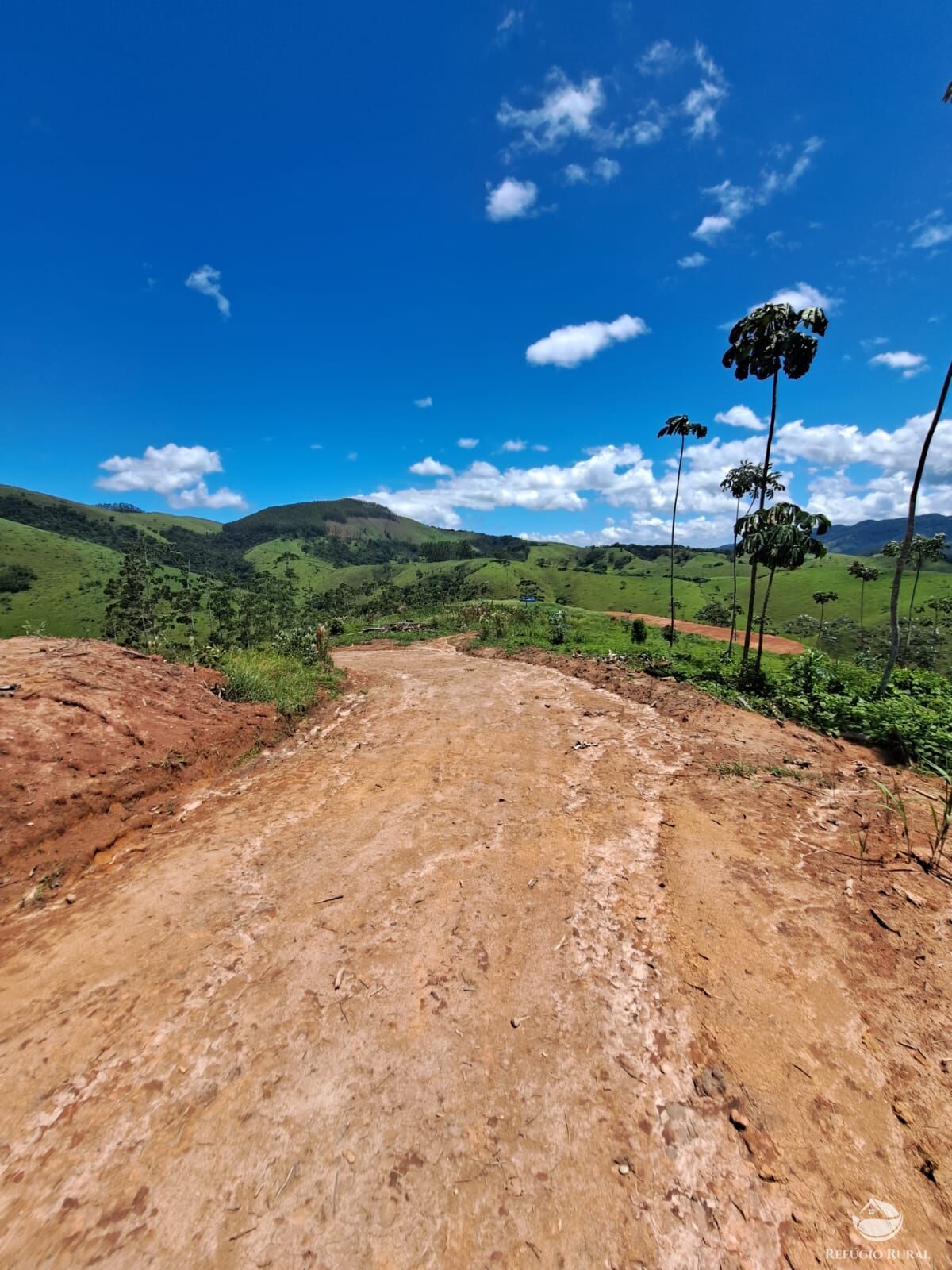 Terreno à venda, 31000m² - Foto 24