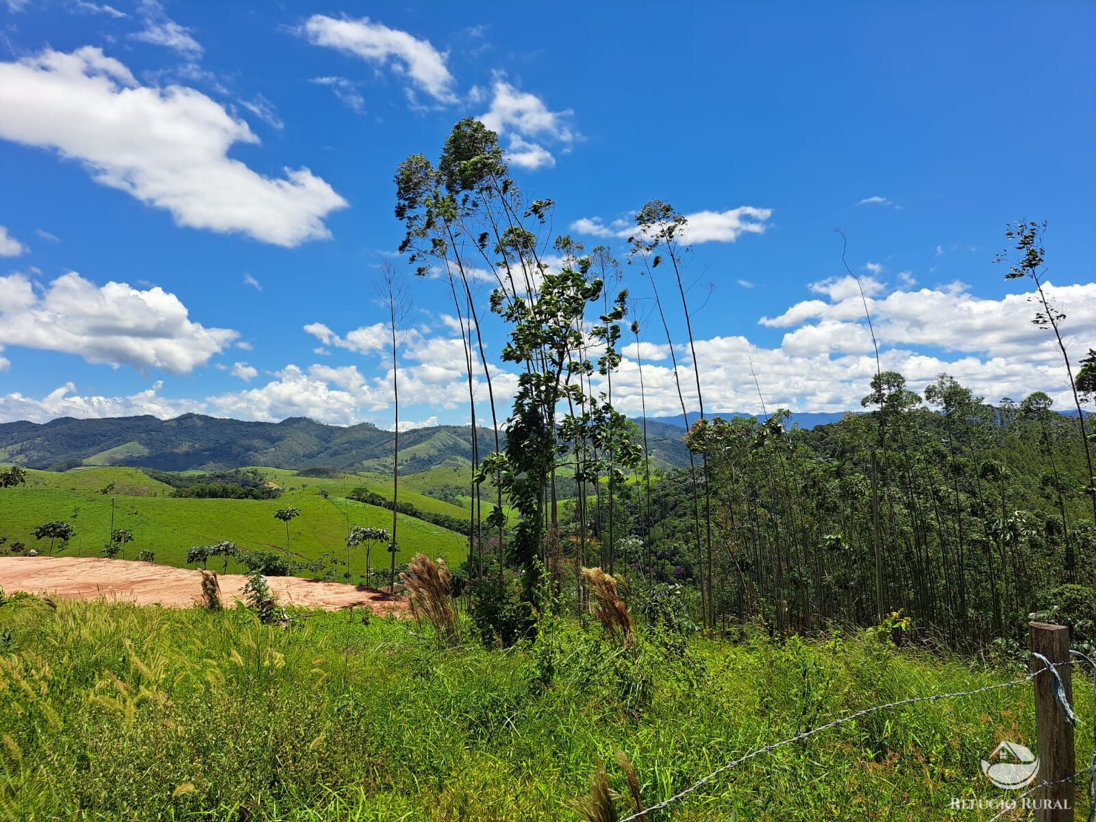 Terreno à venda, 31000m² - Foto 13