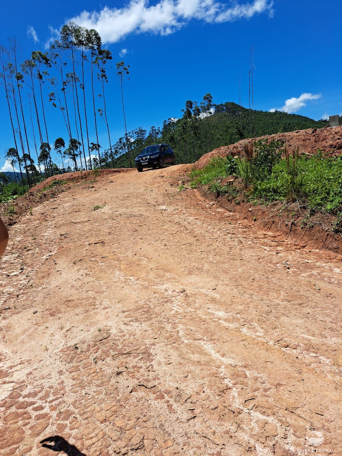 Terreno à venda, 31000m² - Foto 17