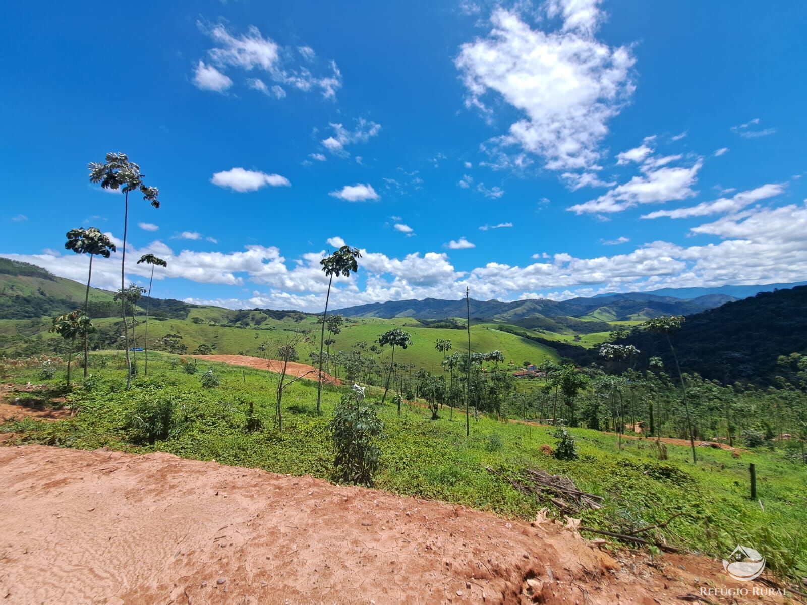 Terreno à venda, 31000m² - Foto 19