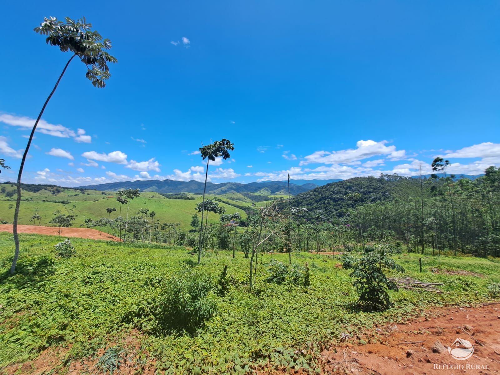 Terreno à venda, 31000m² - Foto 1