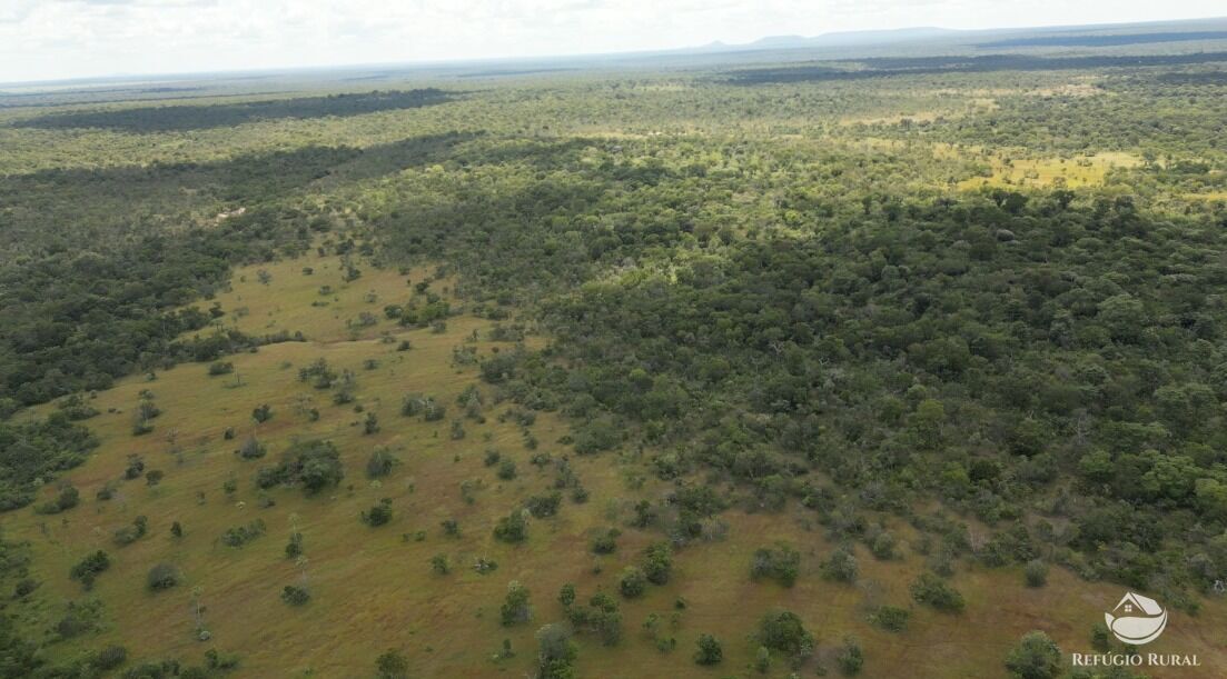 Fazenda à venda com 11 quartos, 65800000m² - Foto 17