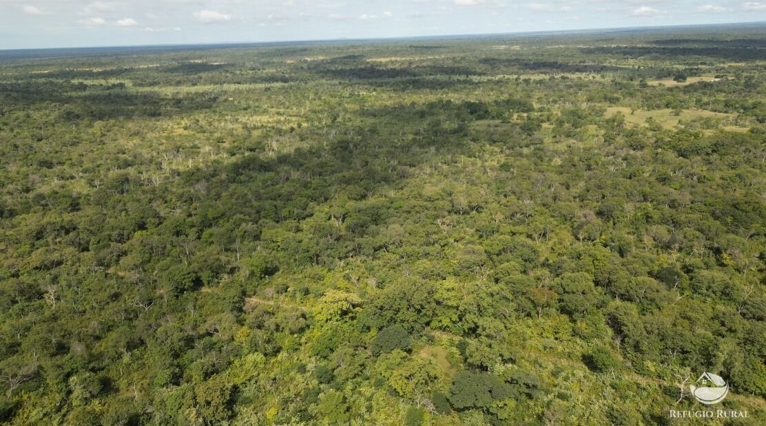 Fazenda à venda com 11 quartos, 65800000m² - Foto 20