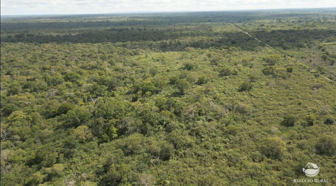 Fazenda à venda com 11 quartos, 65800000m² - Foto 19