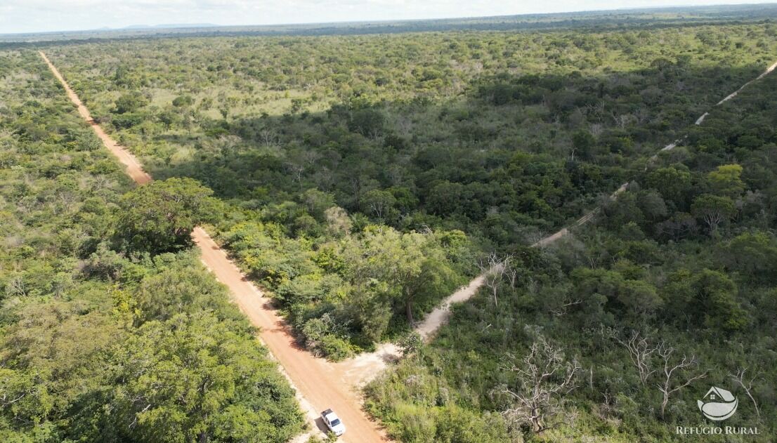 Fazenda à venda com 11 quartos, 65800000m² - Foto 18