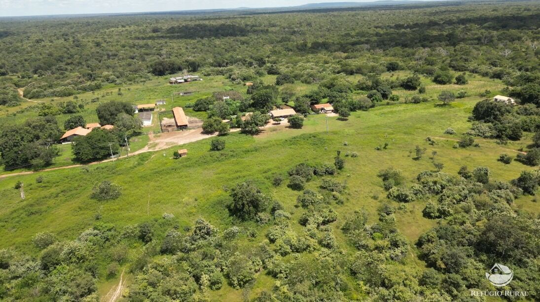 Fazenda à venda com 11 quartos, 65800000m² - Foto 14