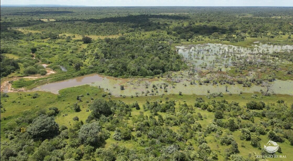 Fazenda à venda com 11 quartos, 65800000m² - Foto 16