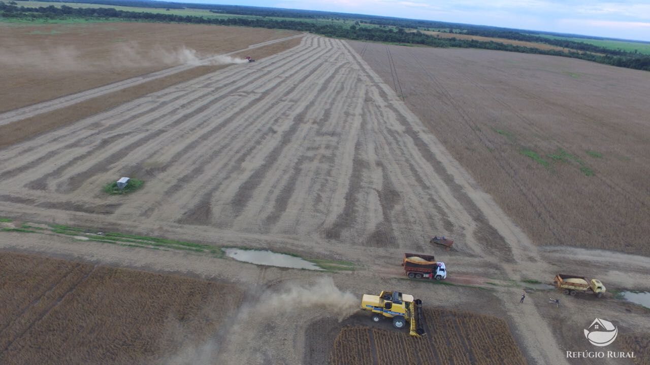 Fazenda à venda com 11 quartos, 65800000m² - Foto 9