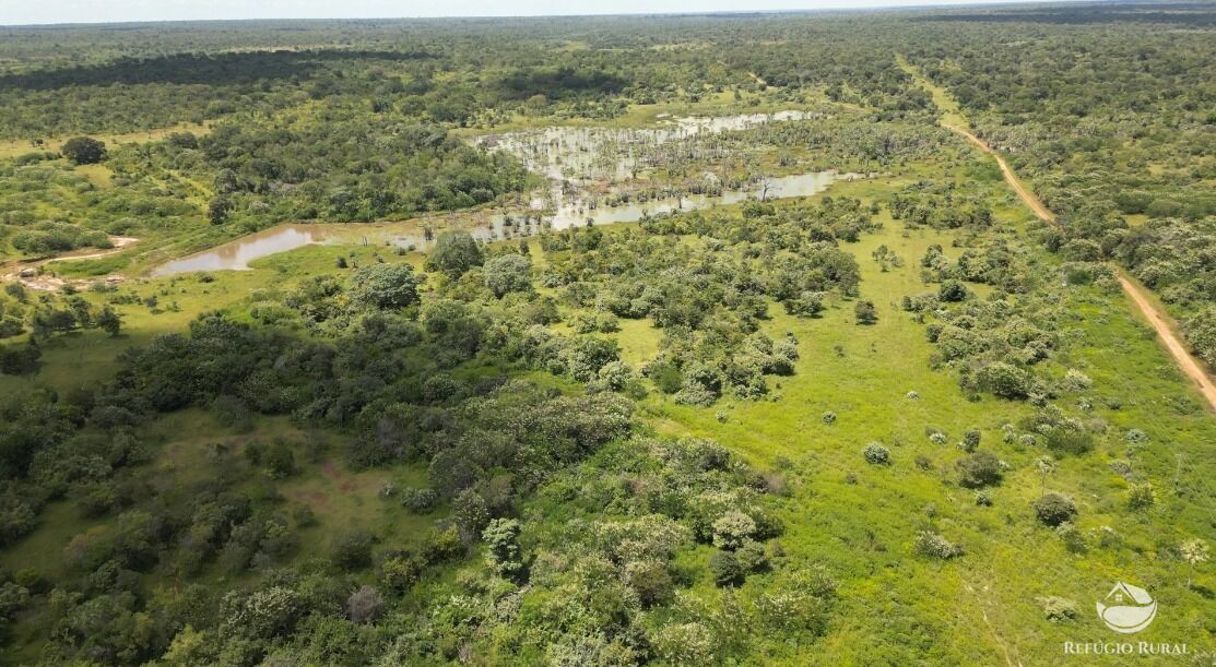 Fazenda à venda com 11 quartos, 65800000m² - Foto 15