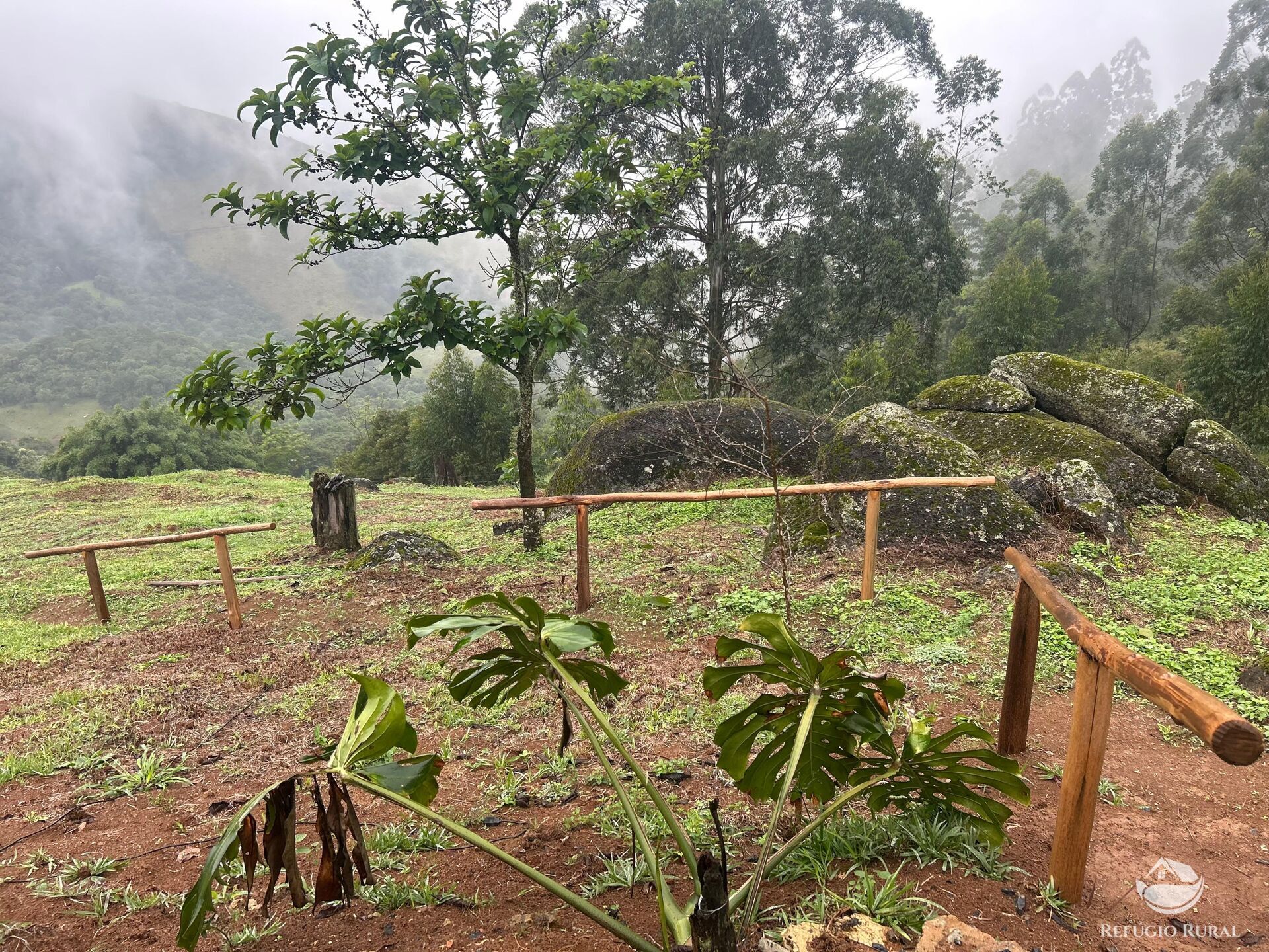 Chácara à venda com 1 quarto, 20000m² - Foto 19
