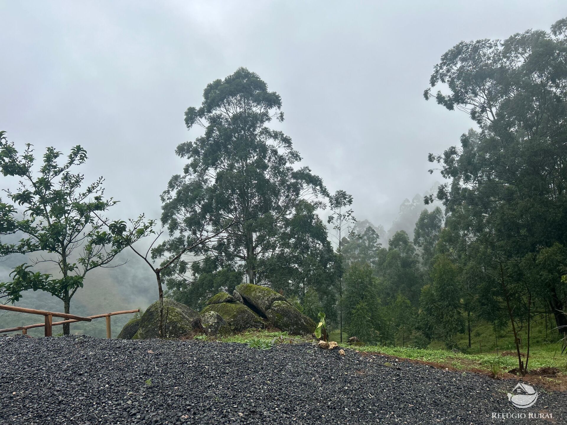 Chácara à venda com 1 quarto, 20000m² - Foto 18