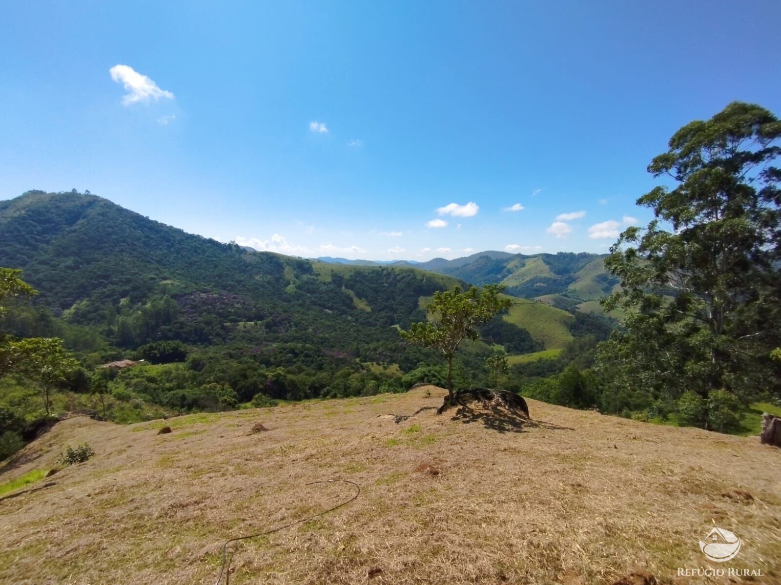 Chácara à venda com 1 quarto, 20000m² - Foto 5