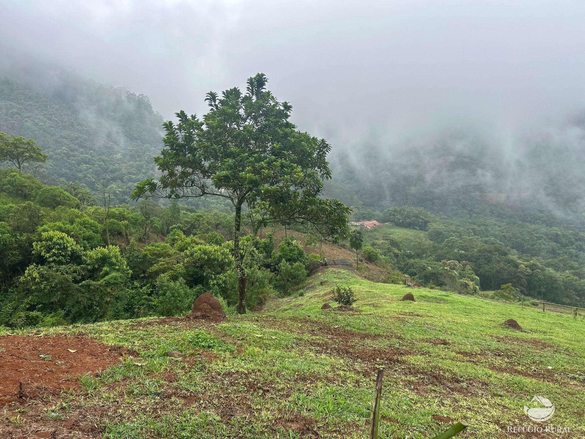 Chácara à venda com 1 quarto, 20000m² - Foto 23