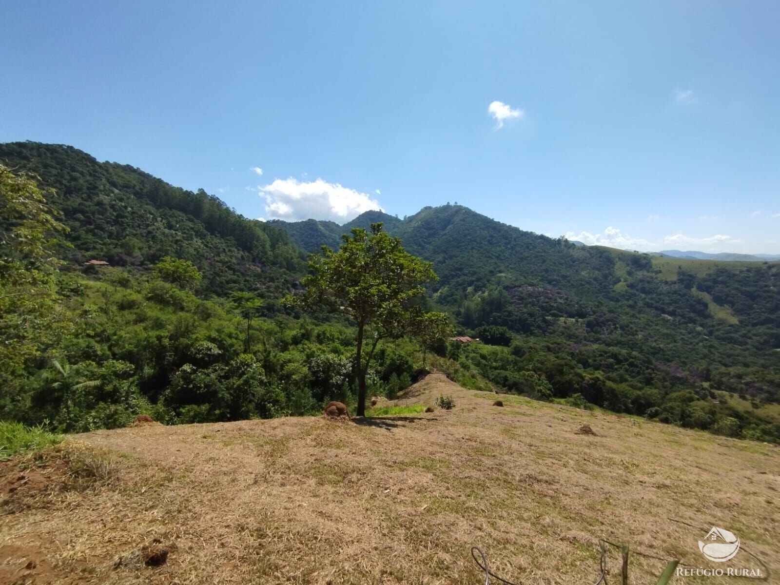 Chácara à venda com 1 quarto, 20000m² - Foto 7