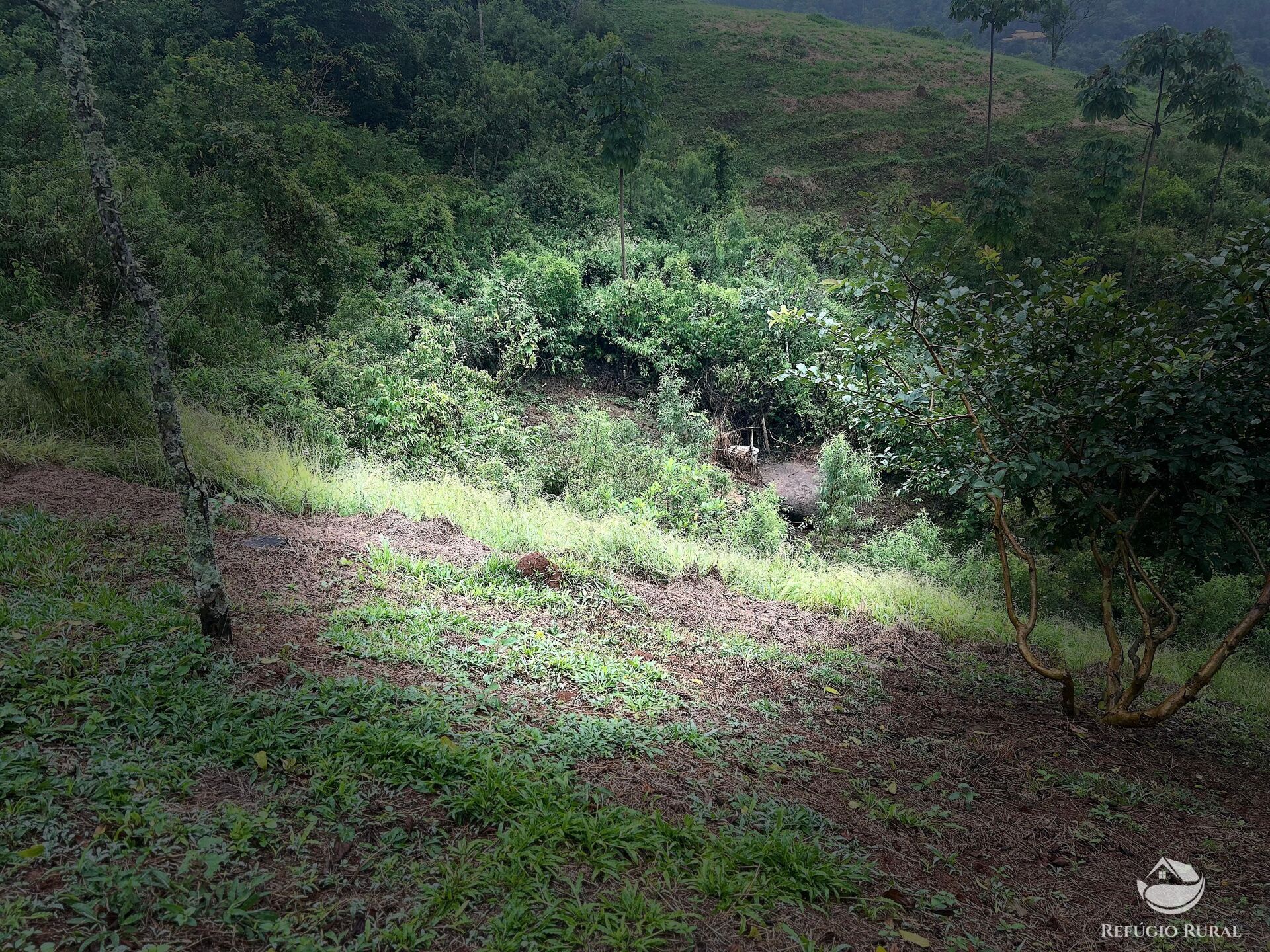 Chácara à venda com 1 quarto, 20000m² - Foto 30