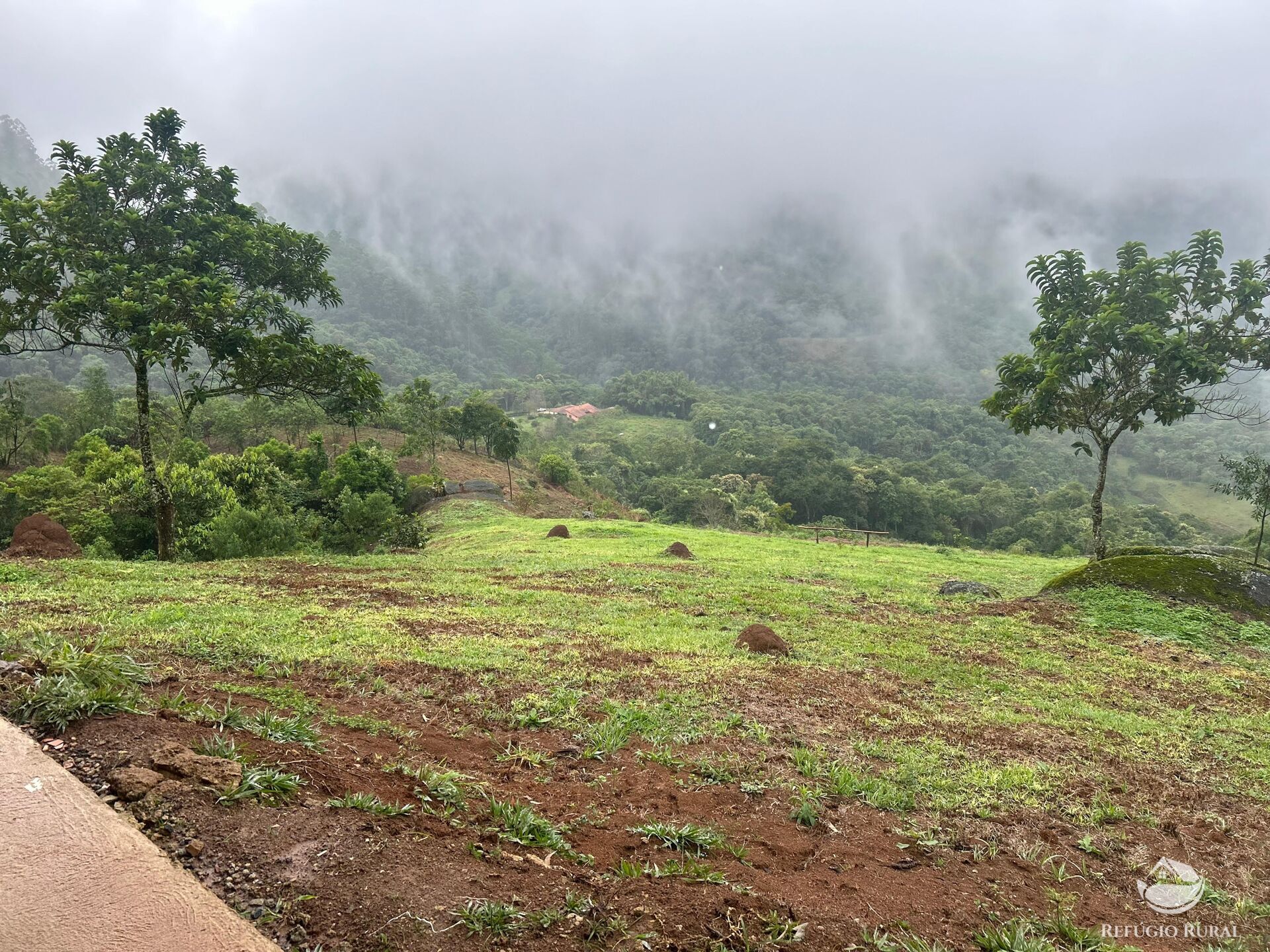 Chácara à venda com 1 quarto, 20000m² - Foto 28