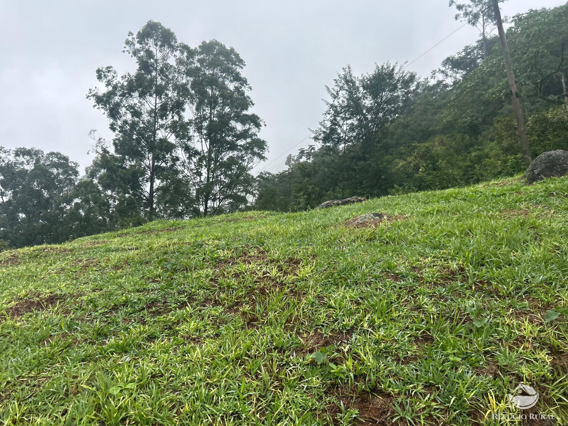 Chácara à venda com 1 quarto, 20000m² - Foto 27