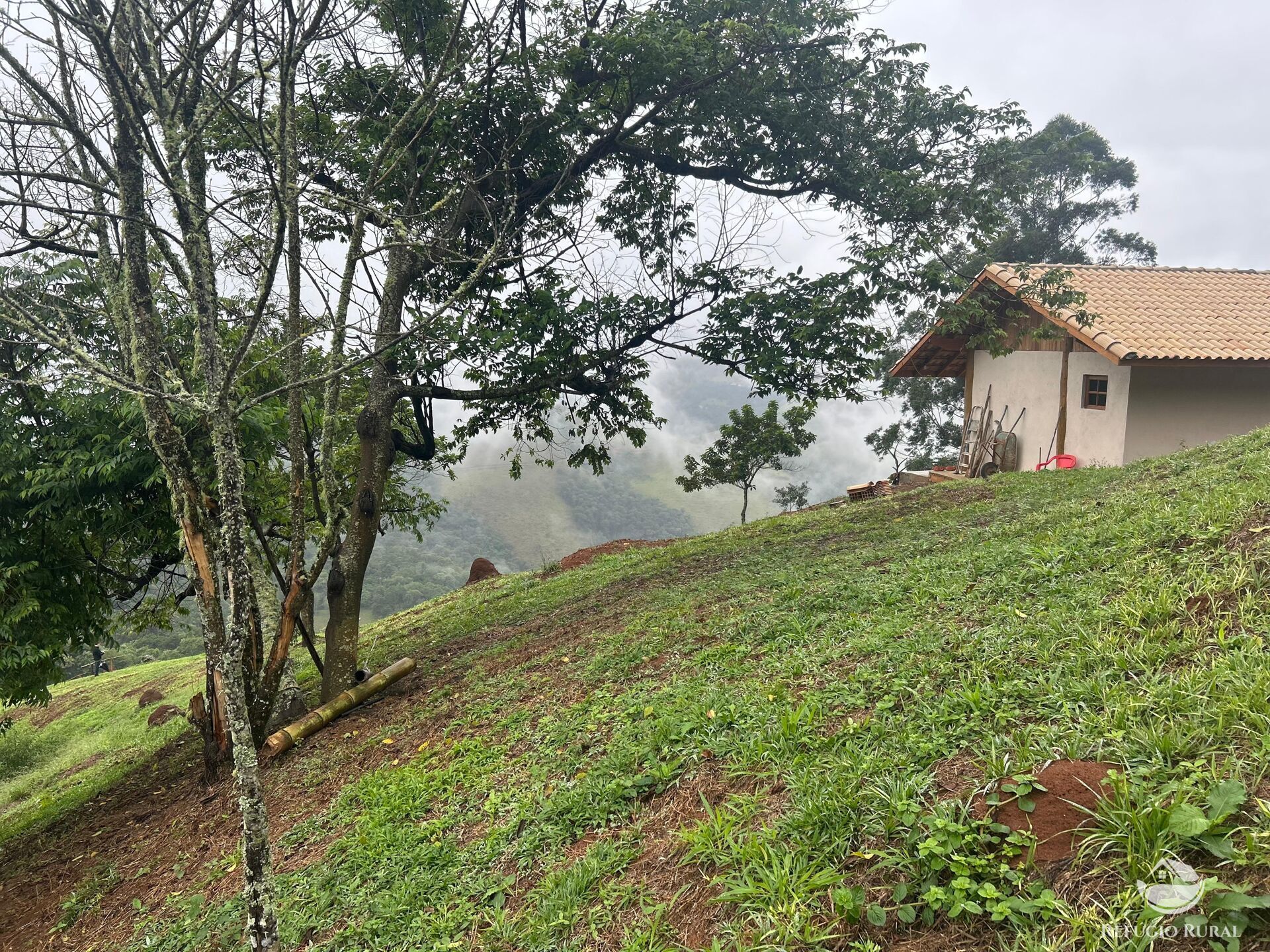 Chácara à venda com 1 quarto, 20000m² - Foto 20