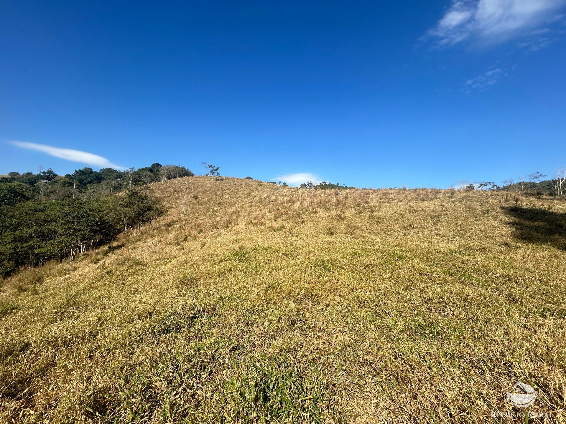 Terreno, 5 hectares - Foto 18