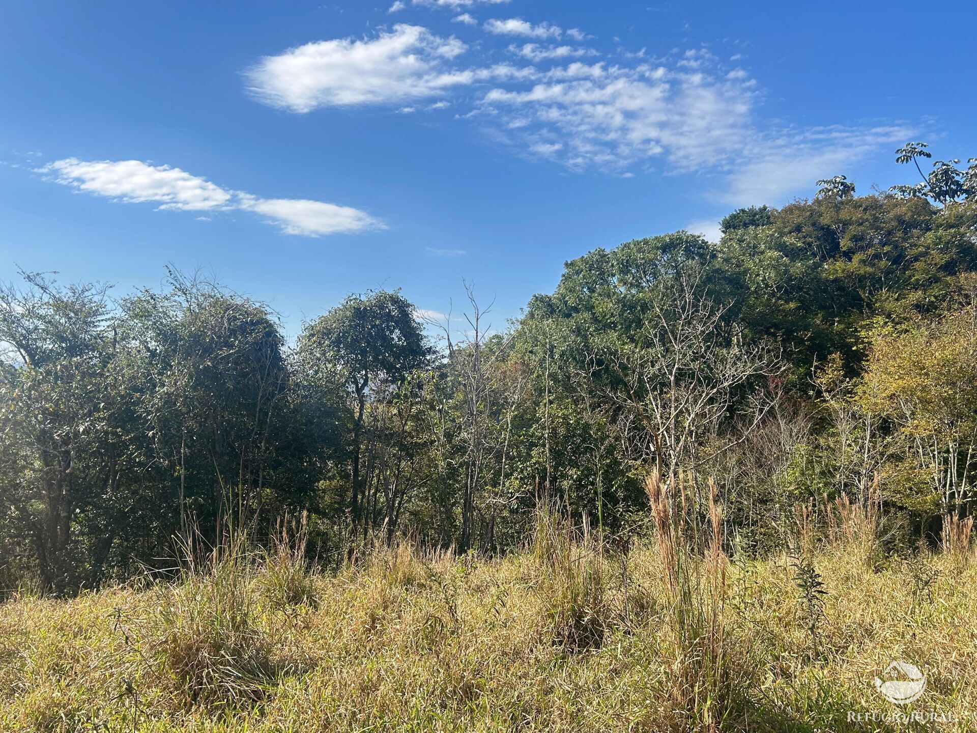 Terreno, 5 hectares - Foto 3