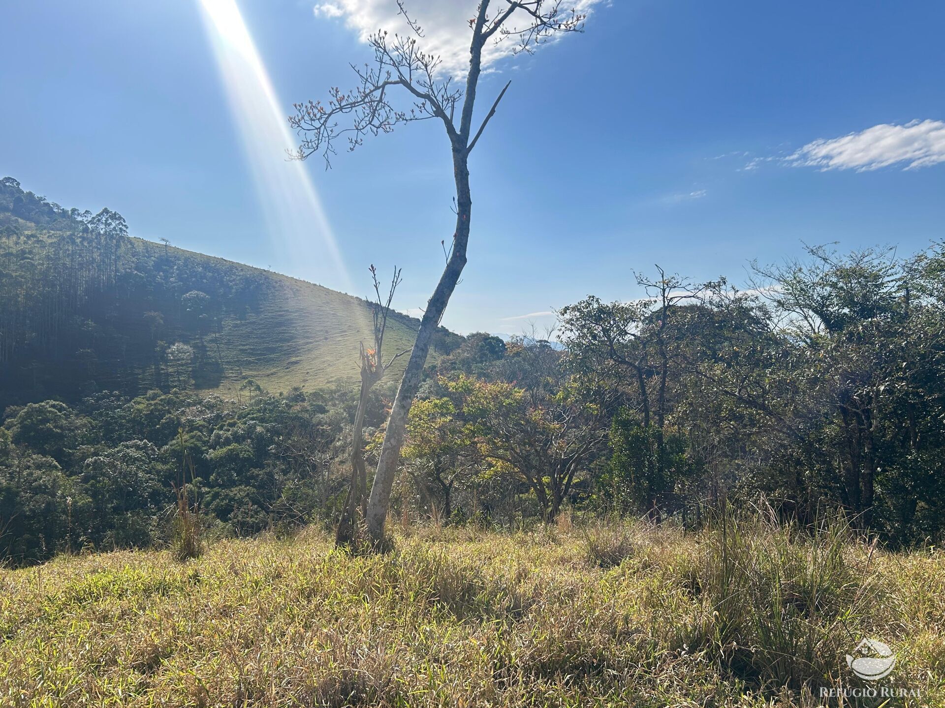 Terreno, 5 hectares - Foto 11