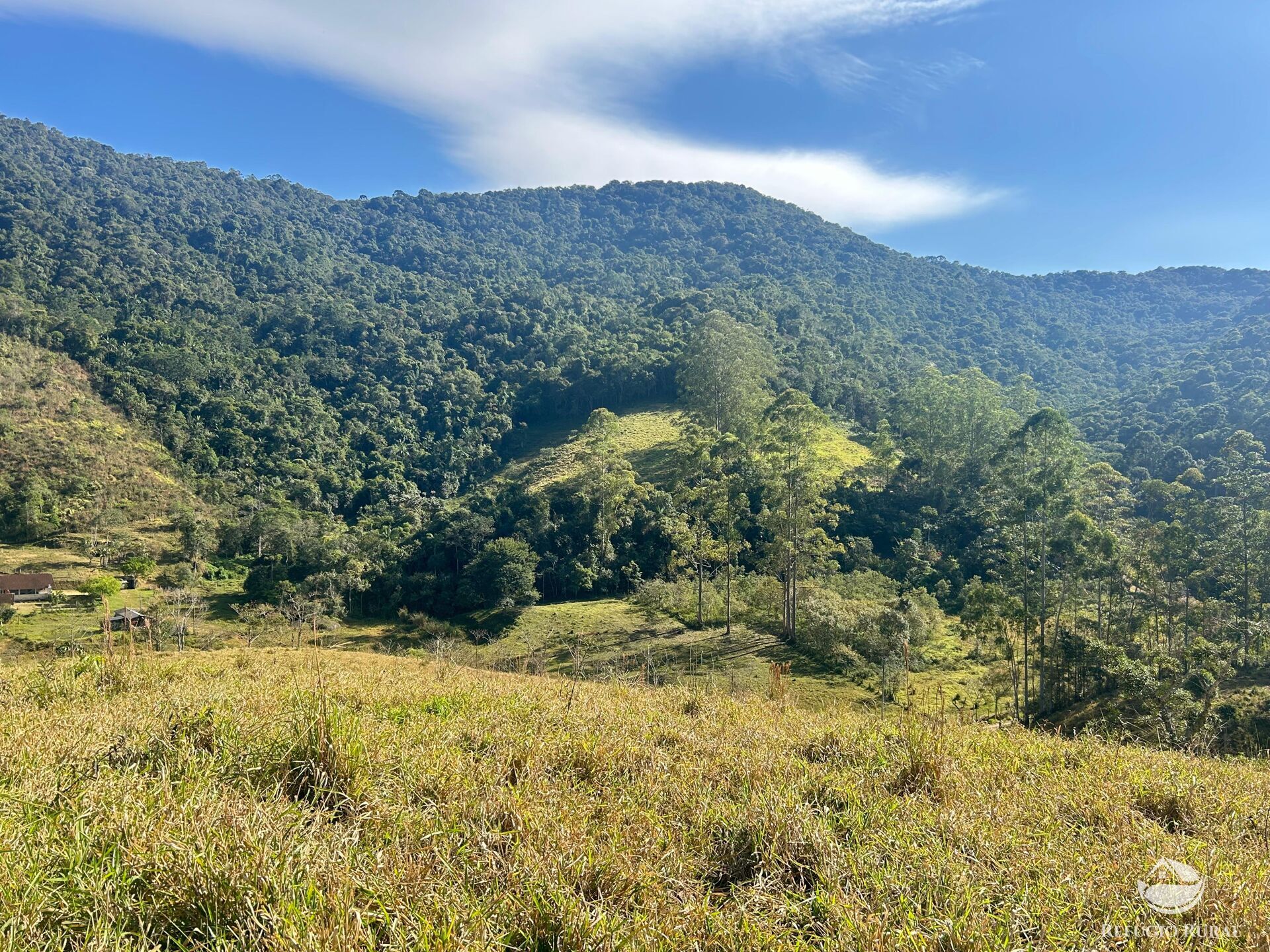 Terreno, 5 hectares - Foto 2