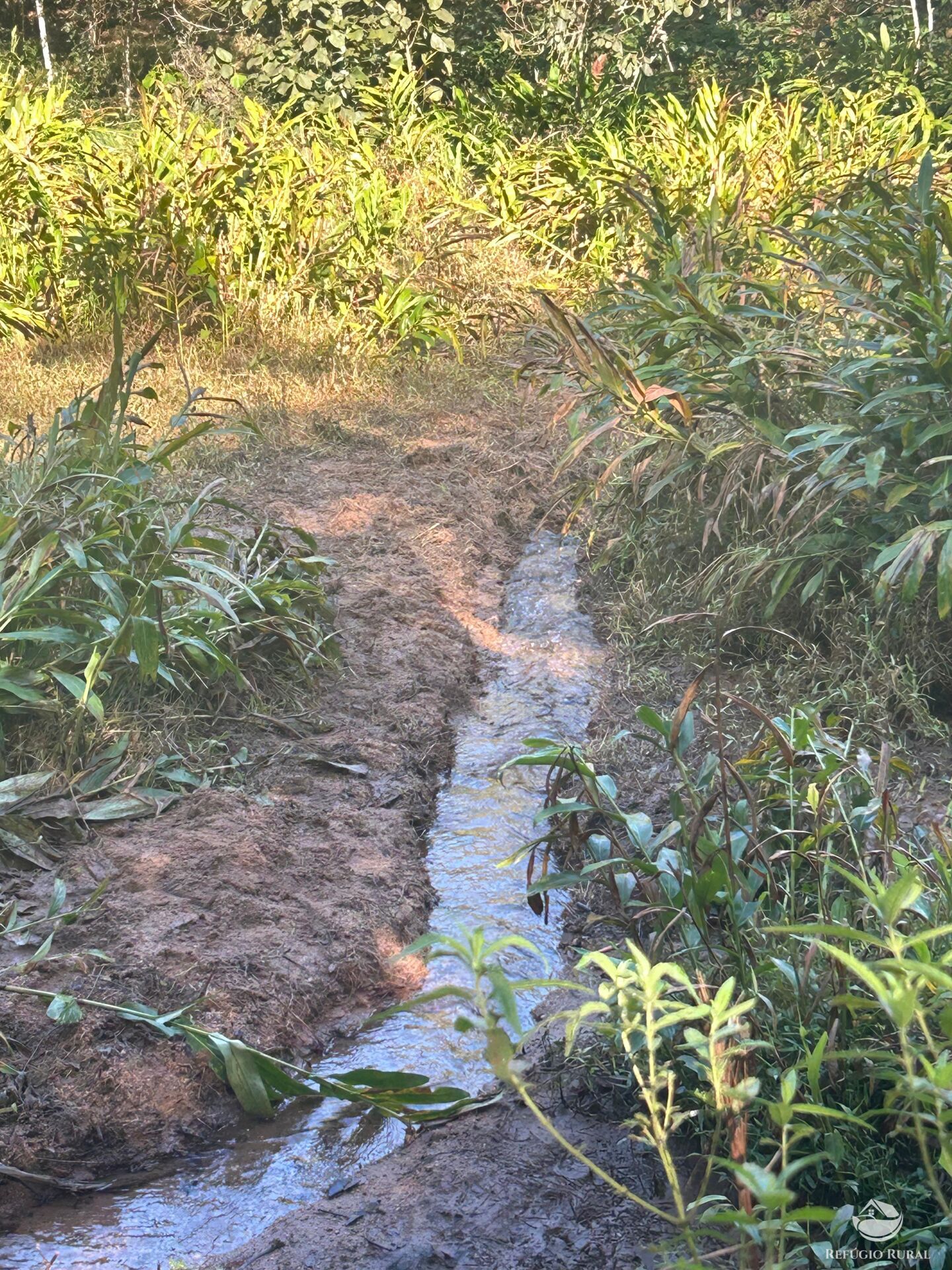 Terreno, 5 hectares - Foto 15