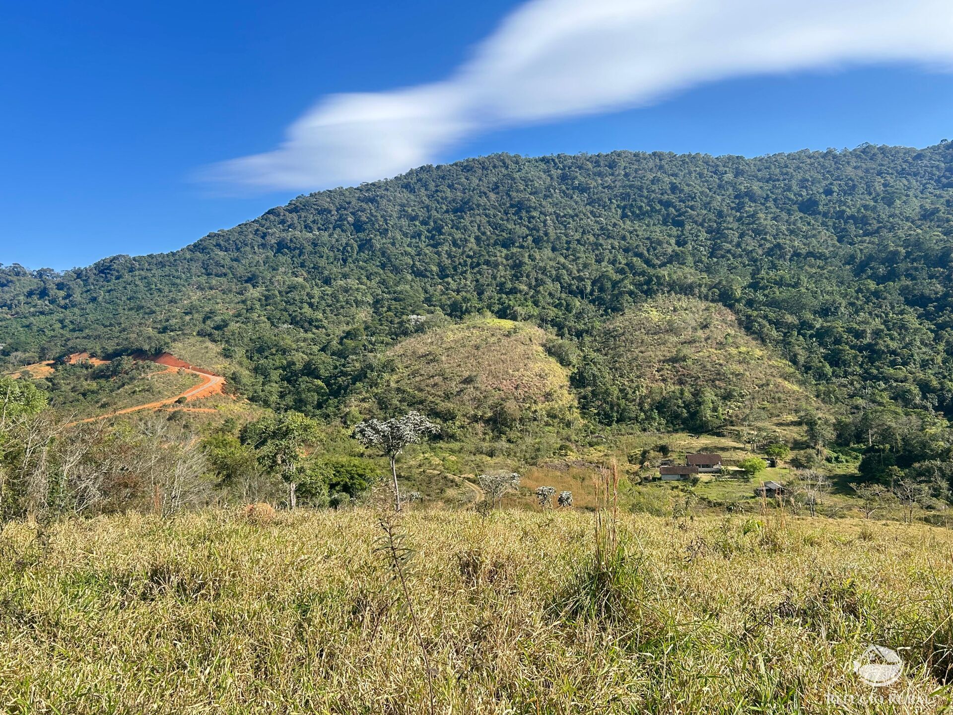 Terreno, 5 hectares - Foto 13